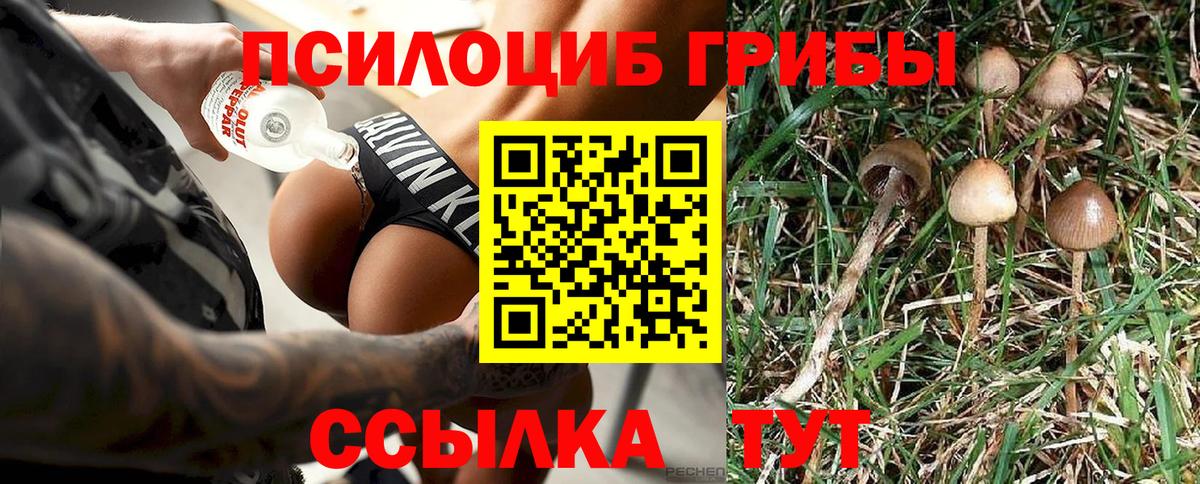 Галлюциногенные грибы мухоморы  Вход с VPN  Аргун 