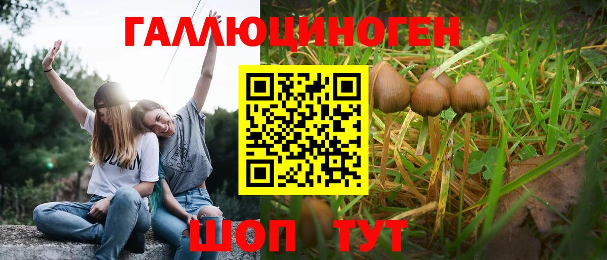 Псилоцибиновые грибы мухоморы Аргун