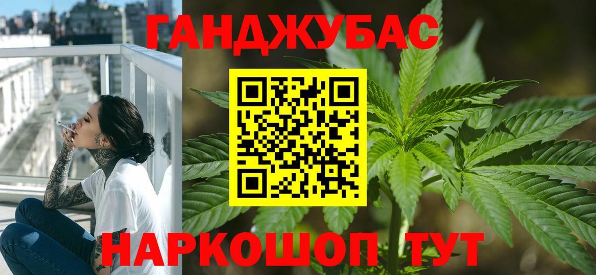 Бошки Шишки семена Аргун