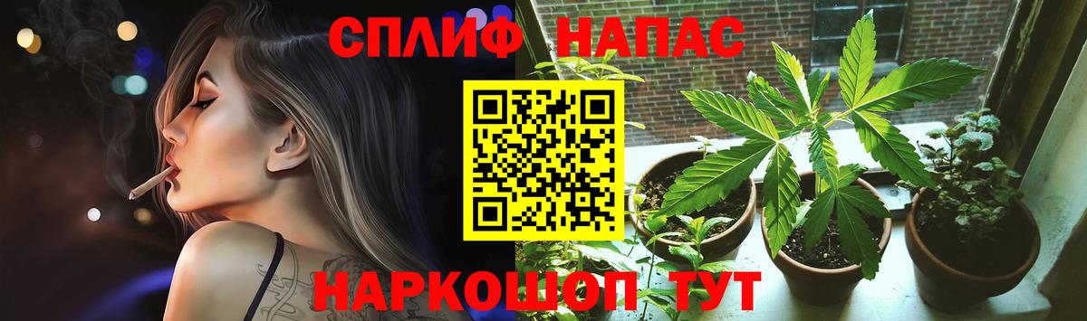 Конопля конопля  Вход с VPN  Аргун  Шишки марихуана ГИДРОПОН  Шишки марихуана ГИДРОПОН  Бошки Шишки гибрид 